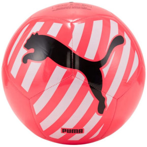 Puma Big Cat Futbal 83994 05